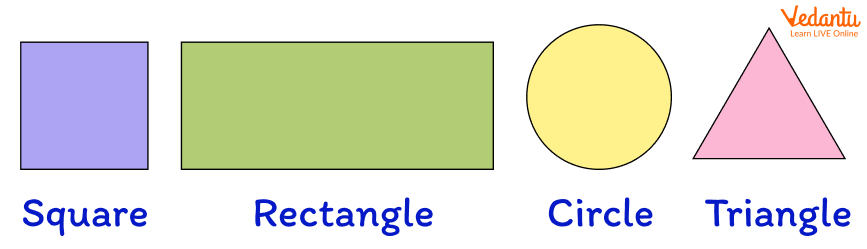 Different two Dimensional Shapes