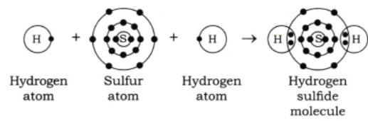Sulfur forms two single covalent bonds with two hydrogen atoms..png