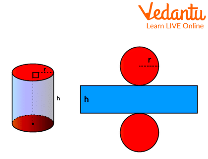 Cylinder Shape Examples