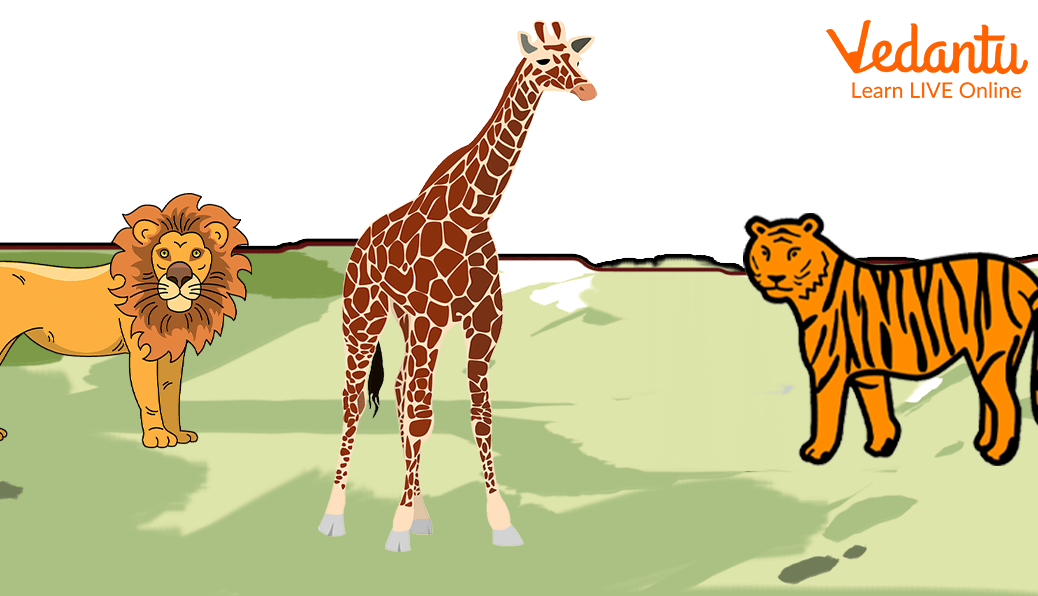 Giraffe Fighting with Predators