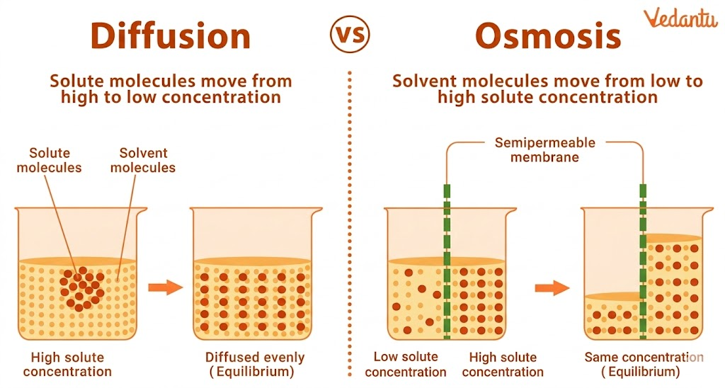 Diffusion and Osmosis