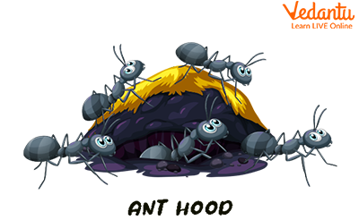 An Ant-Hood