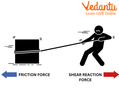 Force and Friction