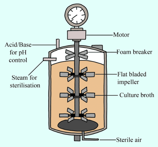 Simple Stirred tank Bioreactor