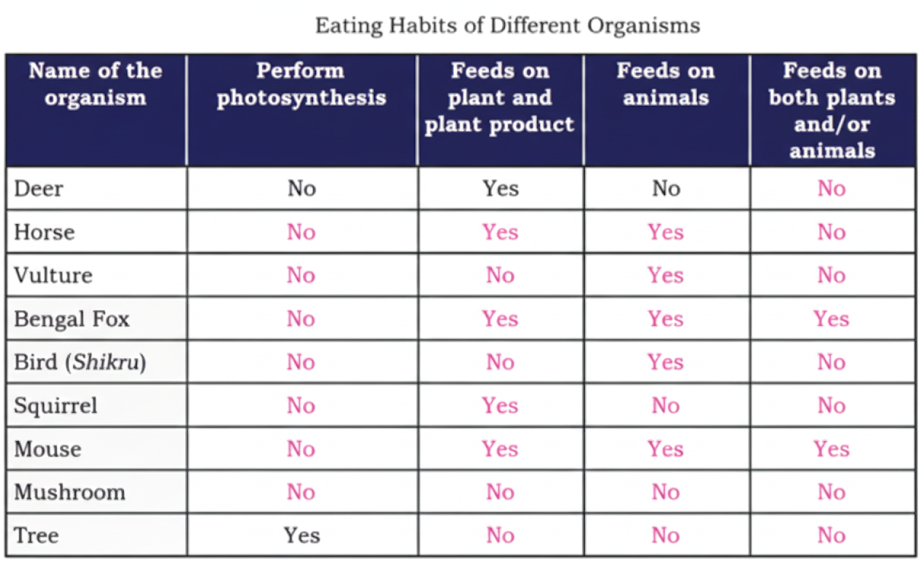 Record your observations in the Table by identifying whether each organism feeds only on plants and plant products, only on animals, or on both