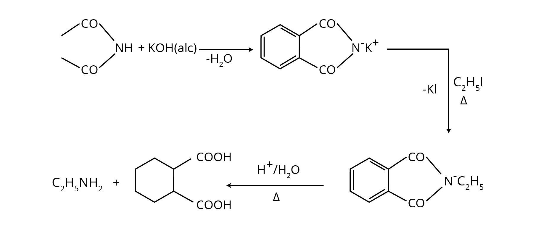 Gabriel Phthalimide Synthesis