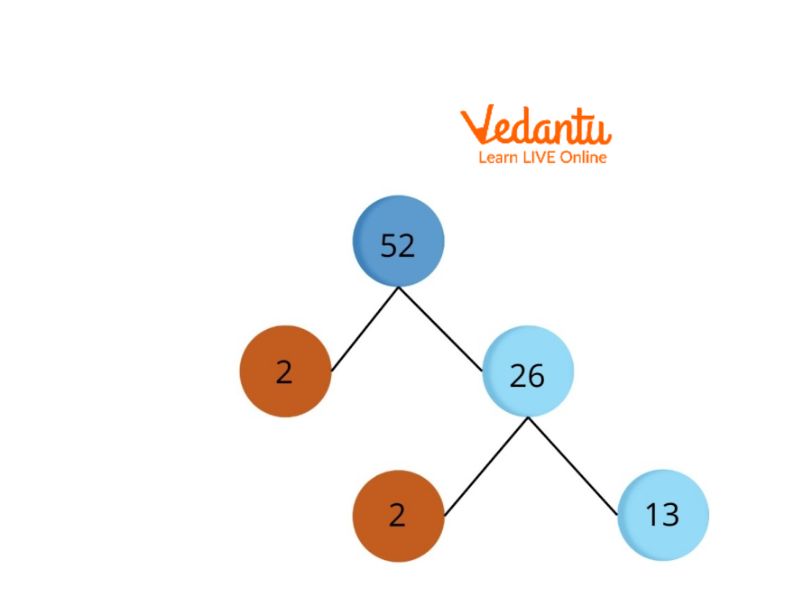 Factor Tree of 52