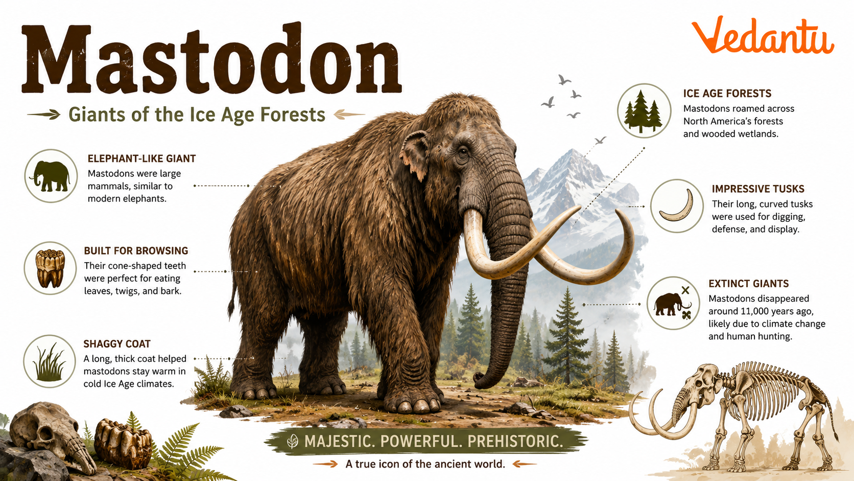 Mastodon prehistoric elephant-like animal