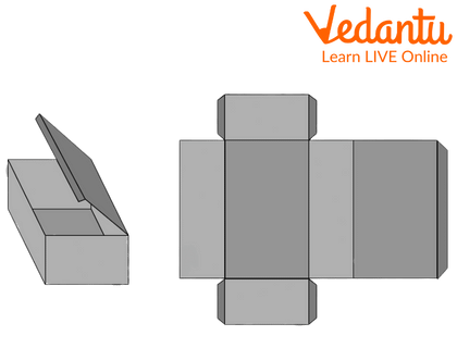 Net Of Cuboid