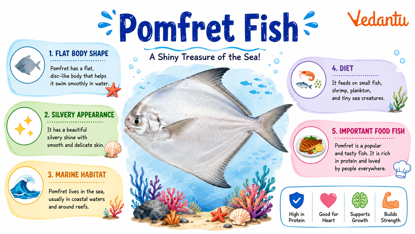 Pomfret Fish