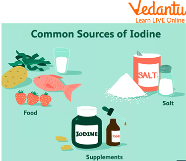 Common Sources of Iodine