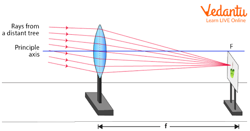 Experimental setup for the determination of the focal length of a thin convex lens.