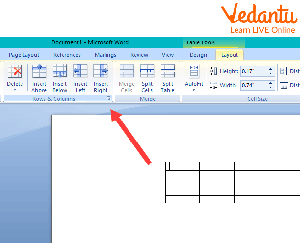 Inserting Rows and Columns.