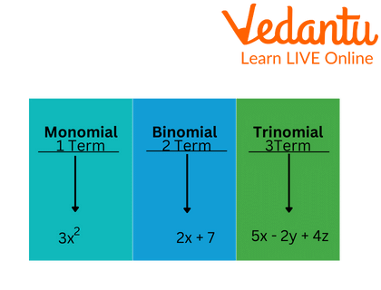 Types of Polynomials