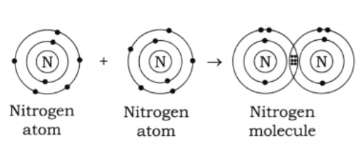 Each nitrogen atom has one lone pair of electrons and shares three pairs of electrons with the other nitrogen atom.png