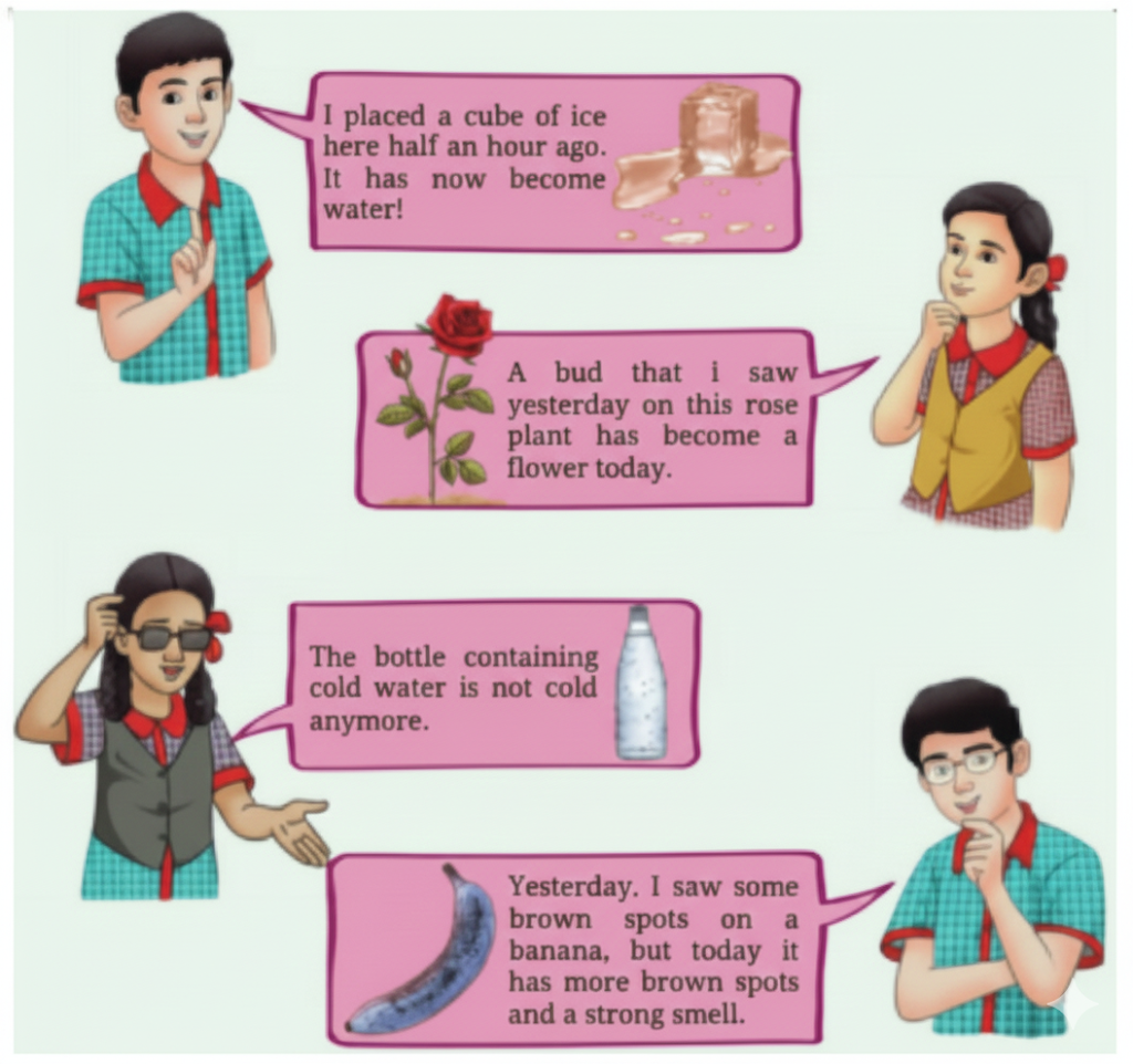 Students are describing some changes