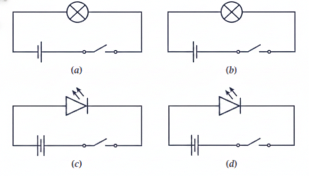Vidyut has made the circuit as shown in Fig. 3.19. Even after closing the circuit, the lamp does not glow. What can be the possible reasons? List as many possible reasons as you can for this faulty operation
