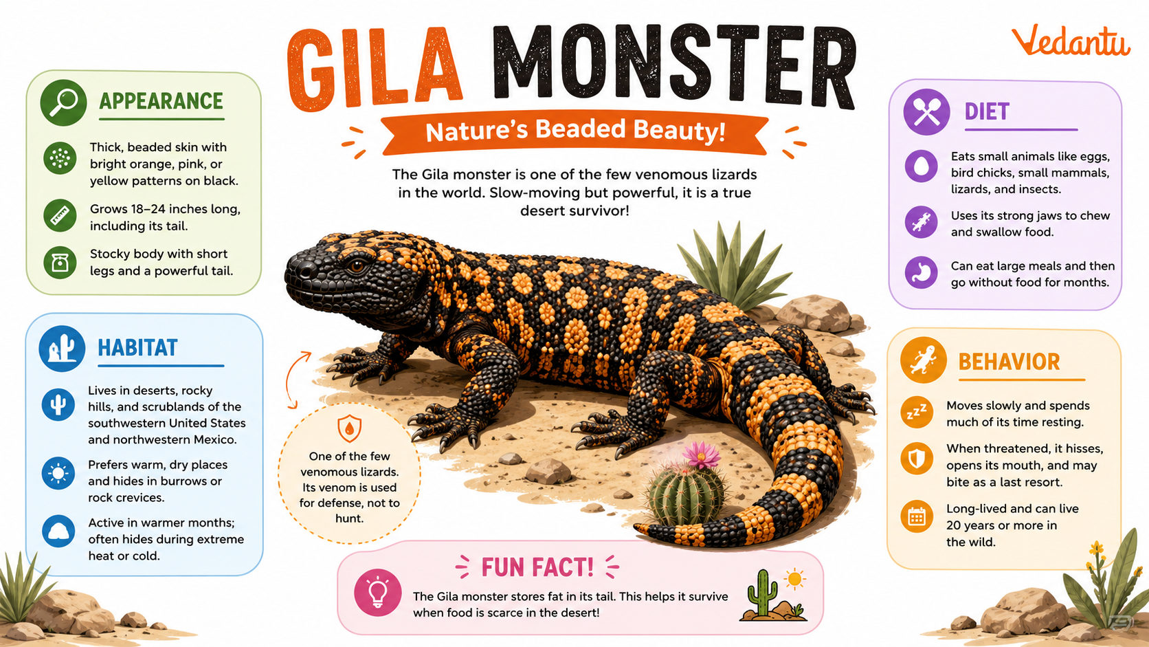 Gila Monster with orange and black beaded skin in desert habitat