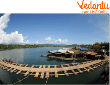 Bamboo Bridge