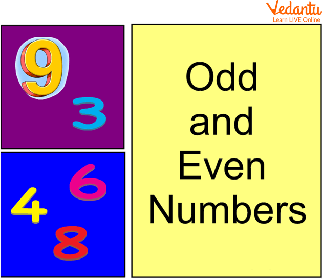 The Even and Odd Numbers