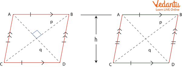 Rhombus and parallelogram