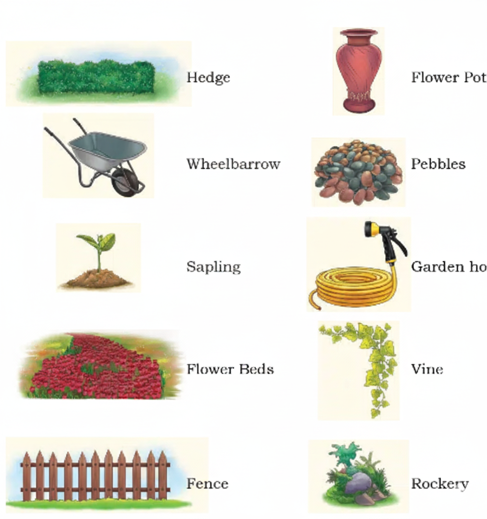 Read the names of items you usually find in a garden and write their names against each picture given below.