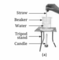 (a): Initial set-up for demonstration