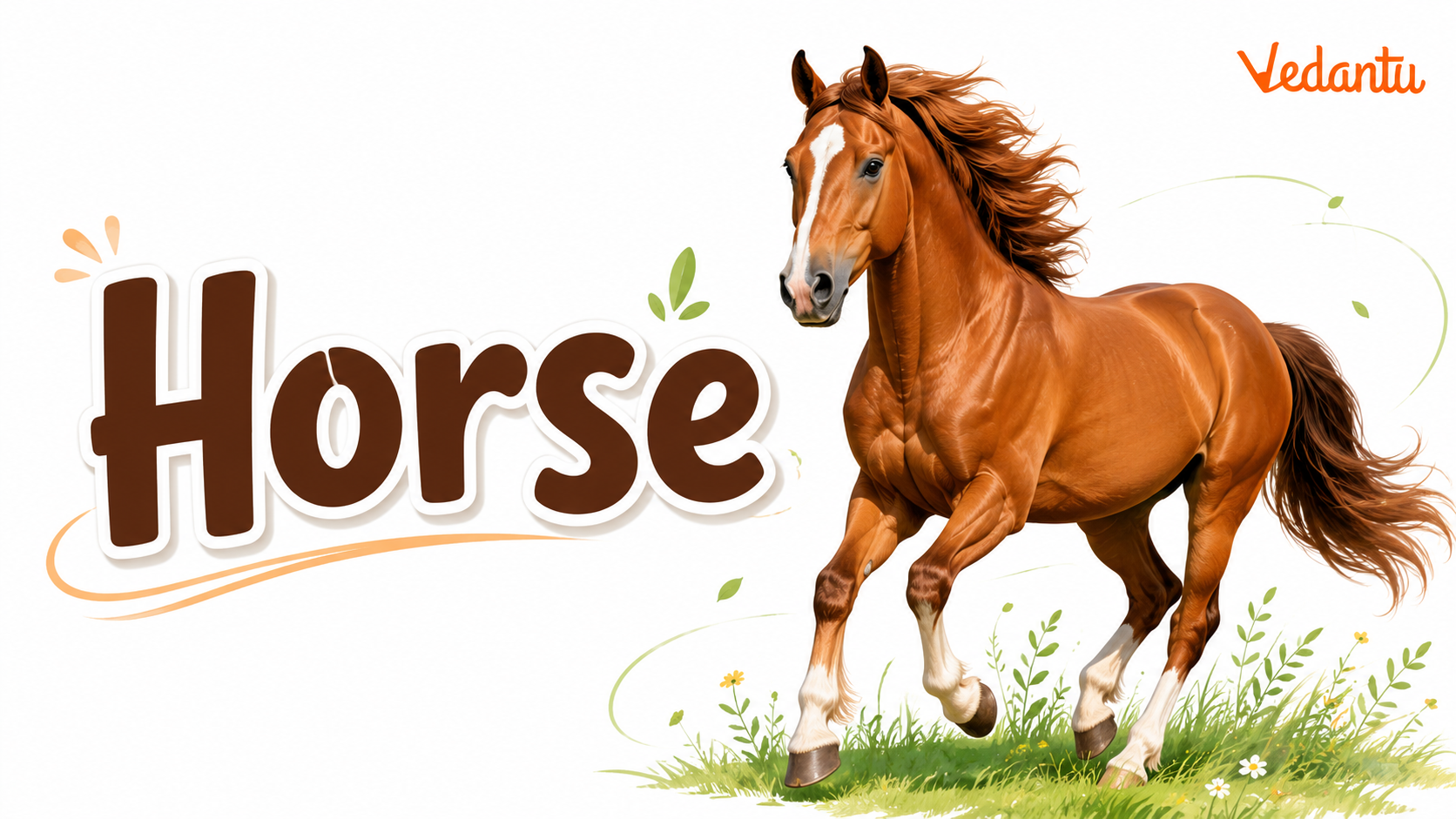Horse animal standing in a field