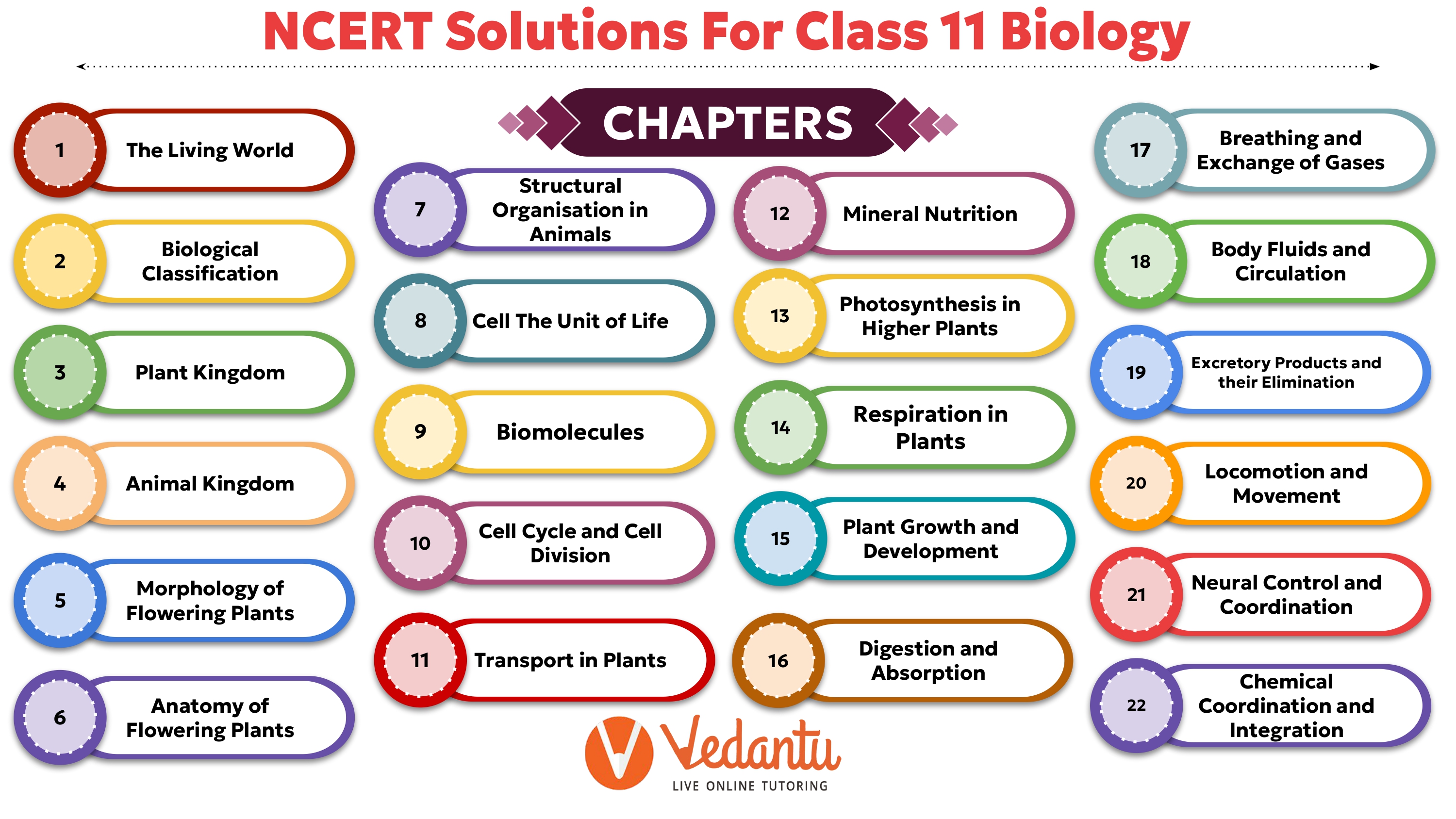NCERT Solutions For class 11 Biology Chapter wise Overview