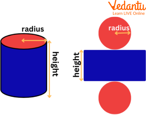 Showing the open sketch of a three-dimensional figure, cylinder