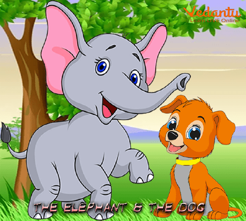 The Elephant and The Dog - Interesting Stories for Kids