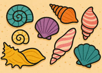 sea shells