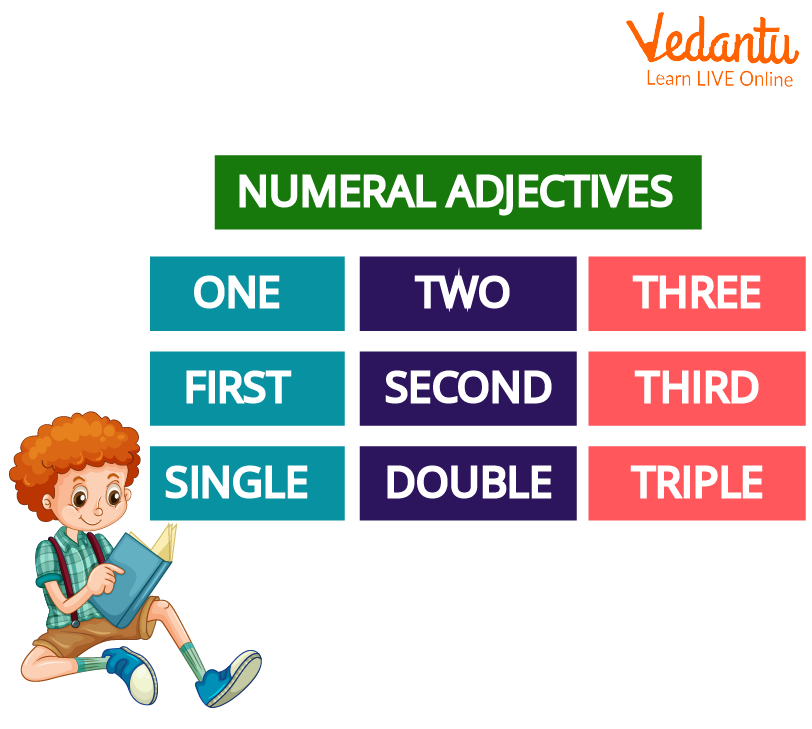 Numeral Adjectives