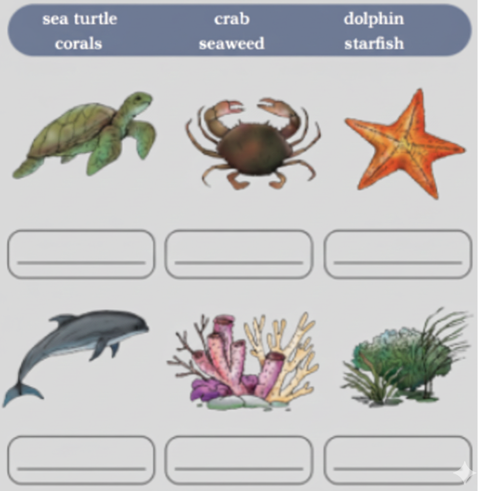 Can you identify these creatures