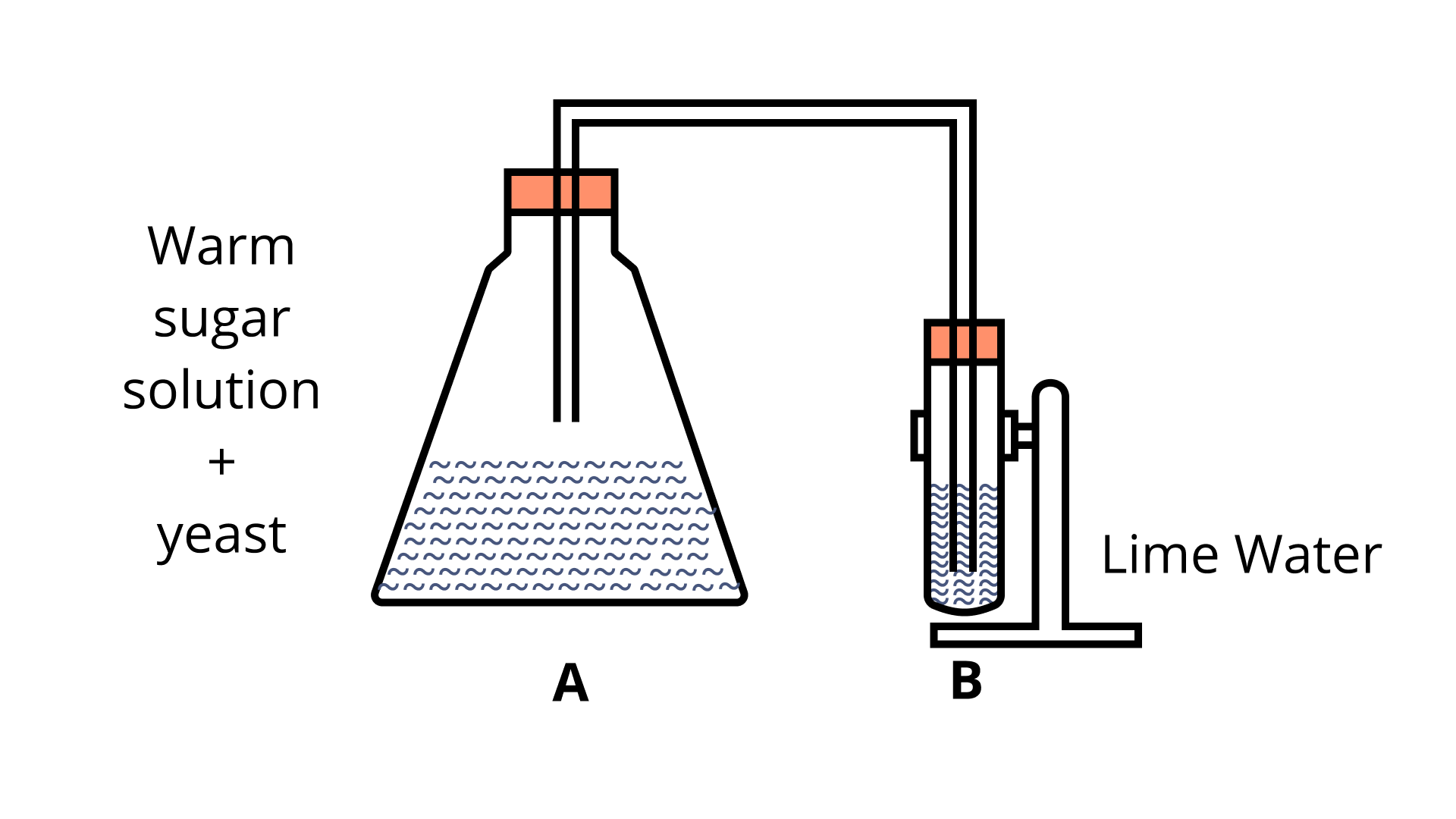 NCERT Exemplar Class 8 Science Solutions Chapter 2