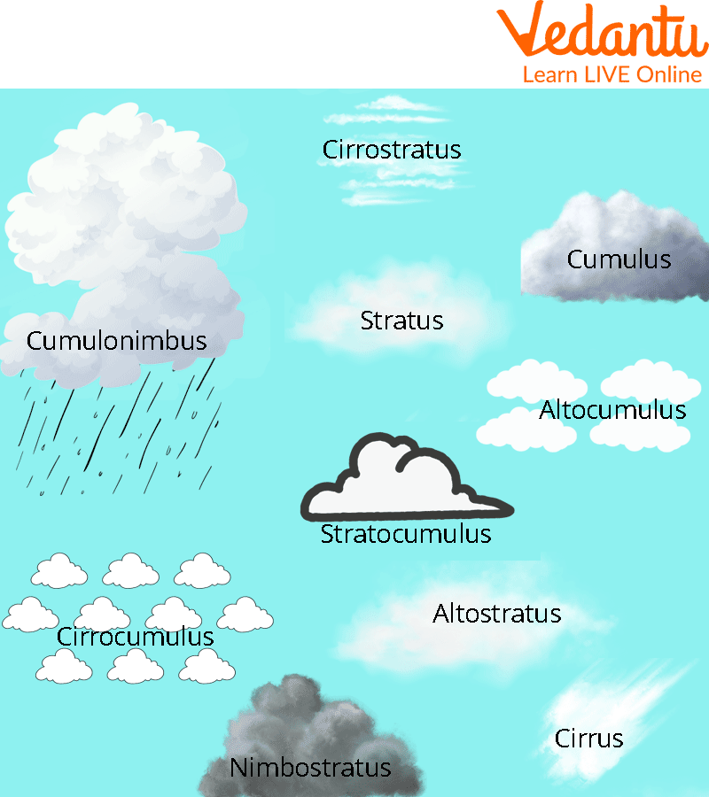 Types of Clouds