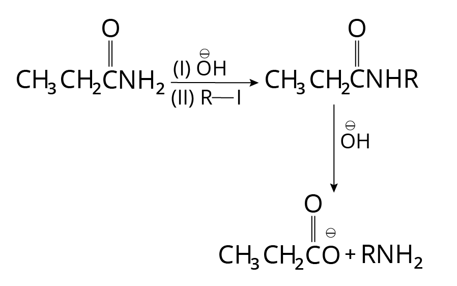 Hydrolysis of Amides