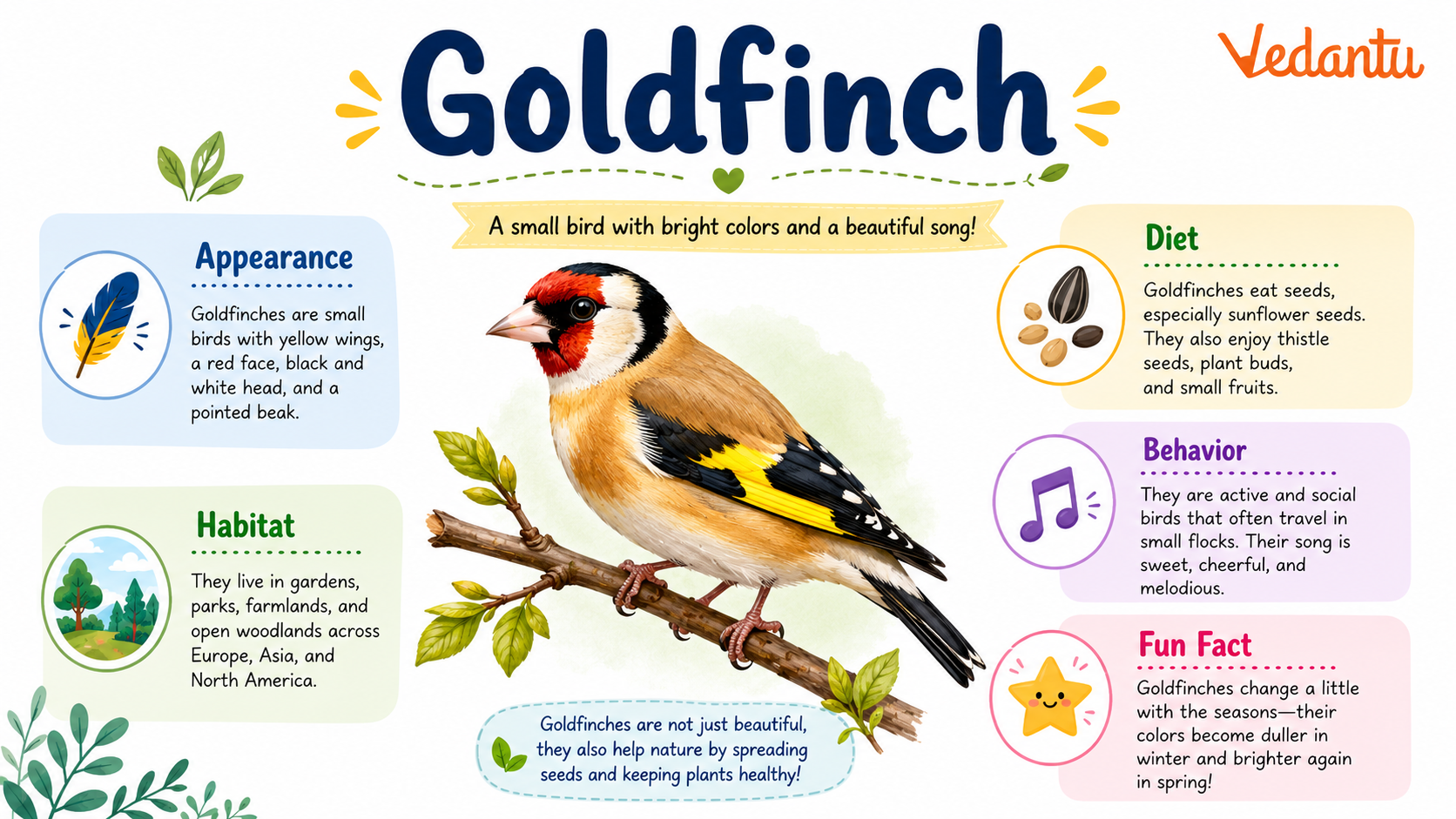 Goldfinch bird with bright yellow and black feathers