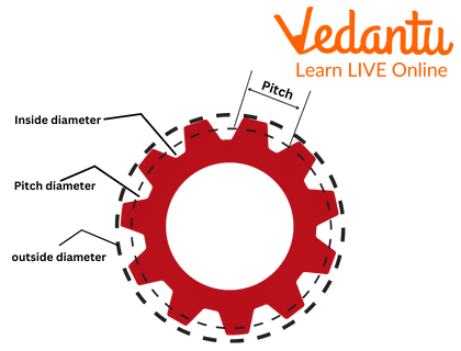 Spur Gear