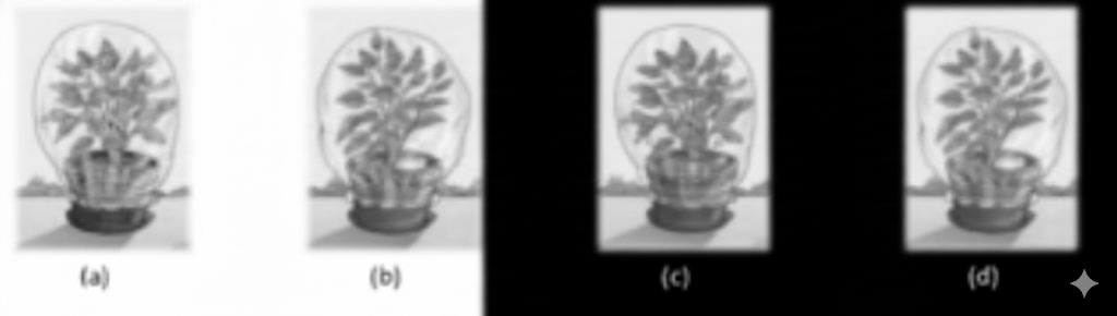 Fig. A potted plant with sufficient water is placed under the prescribed conditions.