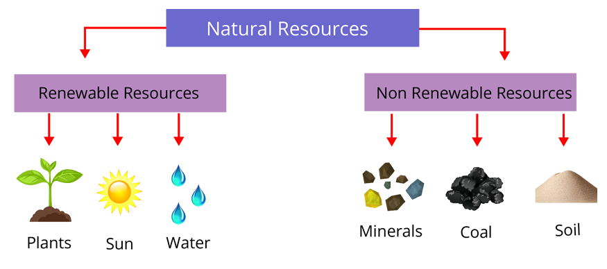 Types of natural resources