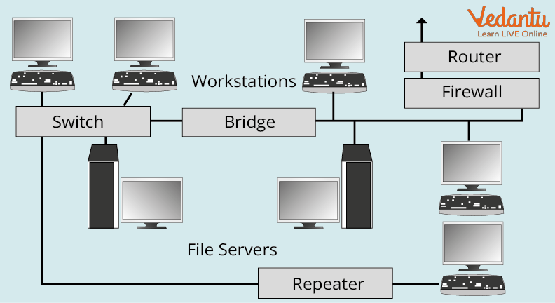 Components of a computer network