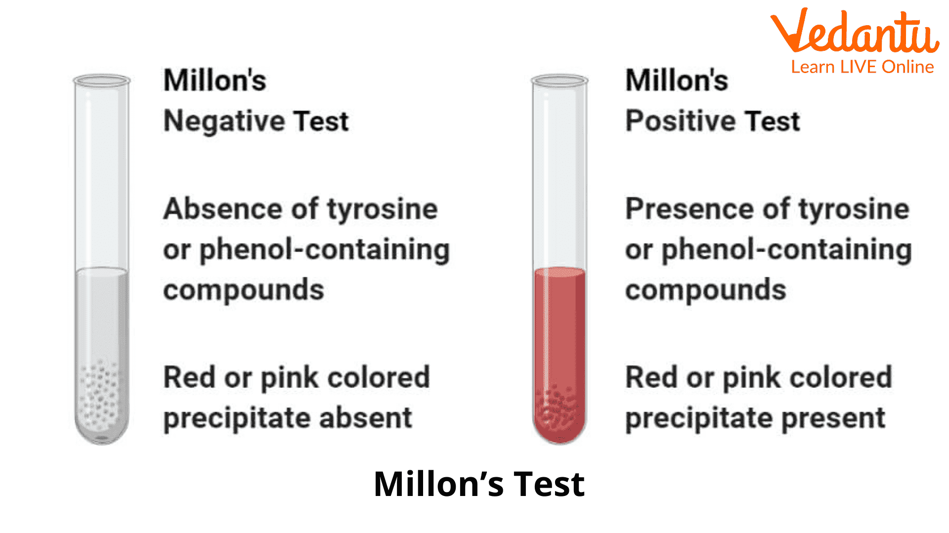Millon’s Test