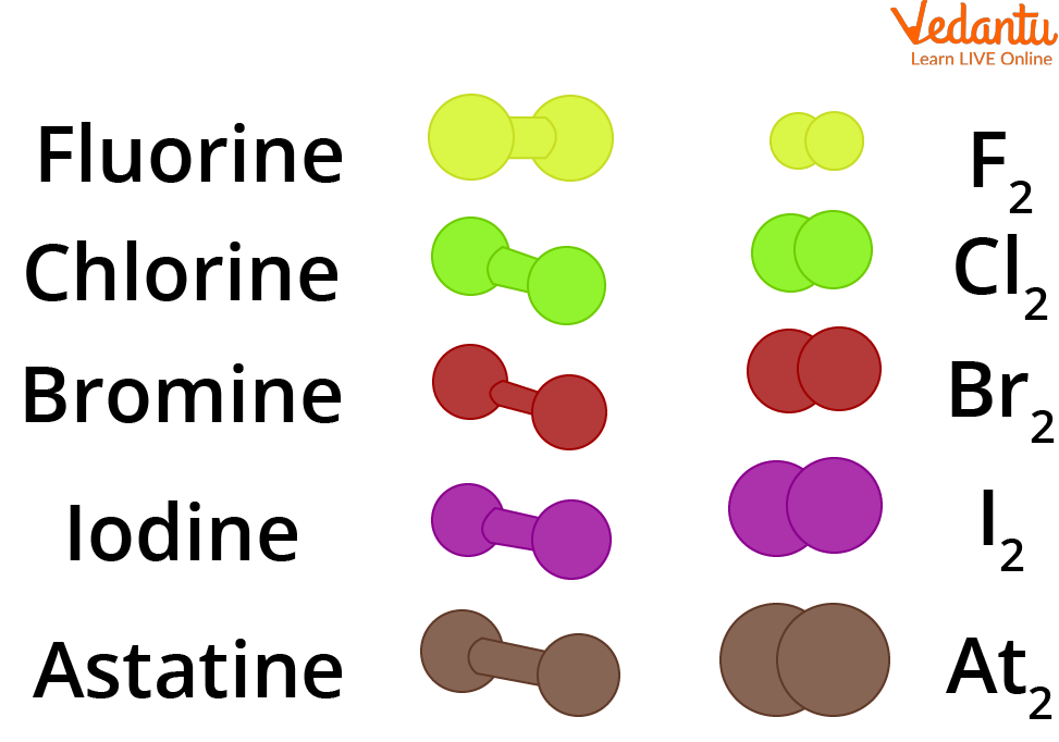 Shapes of Halogen Molecules