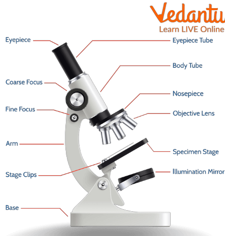 Parts of a Microscope