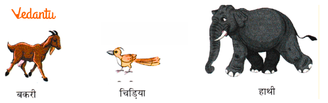 Read the words with your teacher and identify the sounds in them.