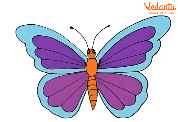 Butterfly Outline Drawing - Coloring Page for Kids - PRB ARTS-omiya.com.vn