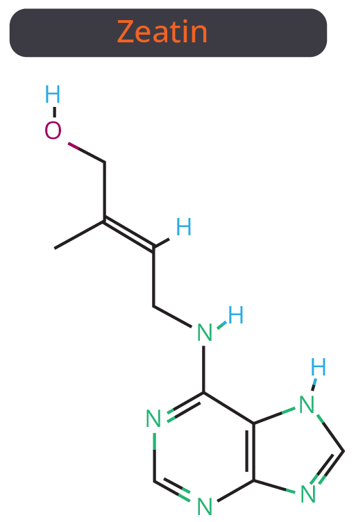 Structure of Zeatin