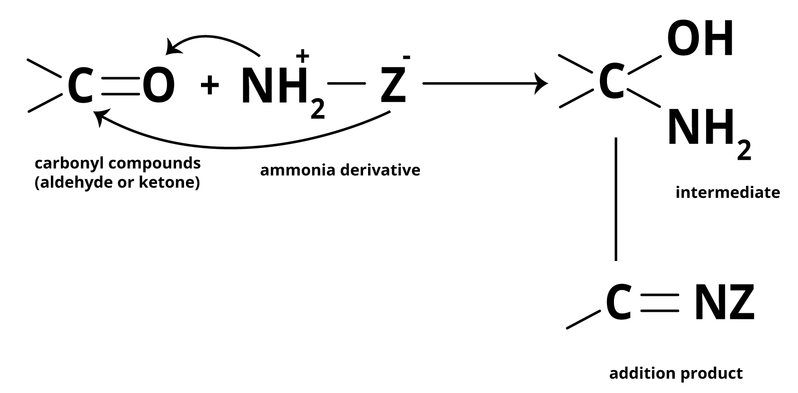 Addition-of-Ammonia-and-Ammonia-Derivatives