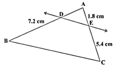 Triangle ABC having point E on AC line